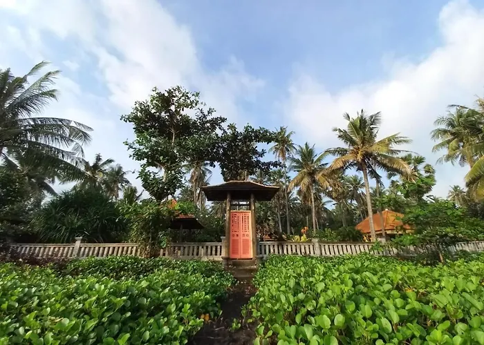 ベッド・アンド・ブレックファスト Bali North - Ocean Front