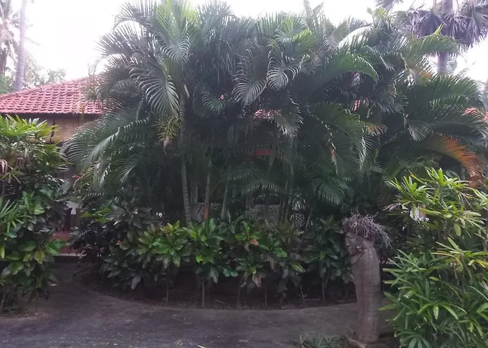 Bali North - Ocean Front ベッド・アンド・ブレックファスト 4*