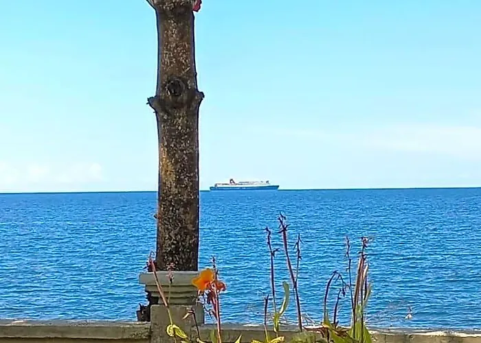ベッド・アンド・ブレックファスト Bali North - Ocean Front